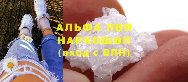тгк Медногорск
