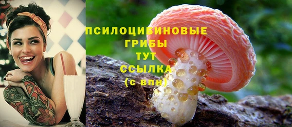 тгк Медногорск
